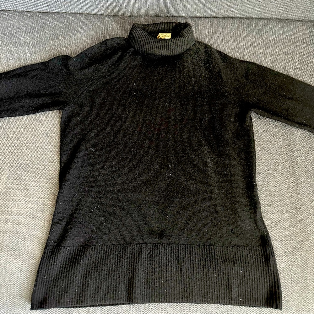 DG2 by Diane Gilman Turtleneck